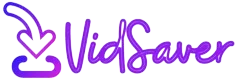 VidSaver logo